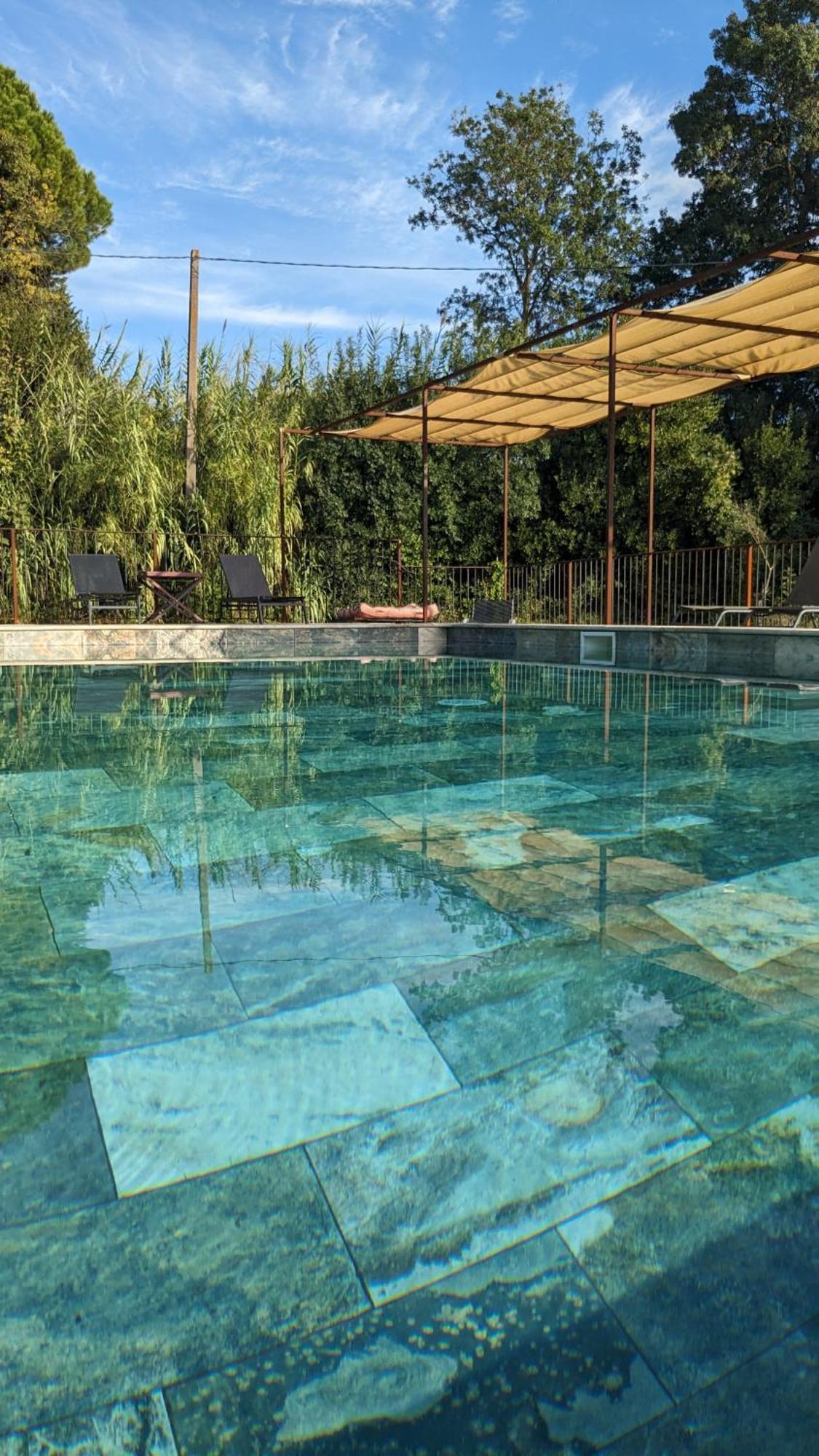 Mas De La Roule, 4 Studios, Piscine Chauffee, Studio Spa, Parc 2 Ha, Pont D'Avignon A Pied Exterior foto