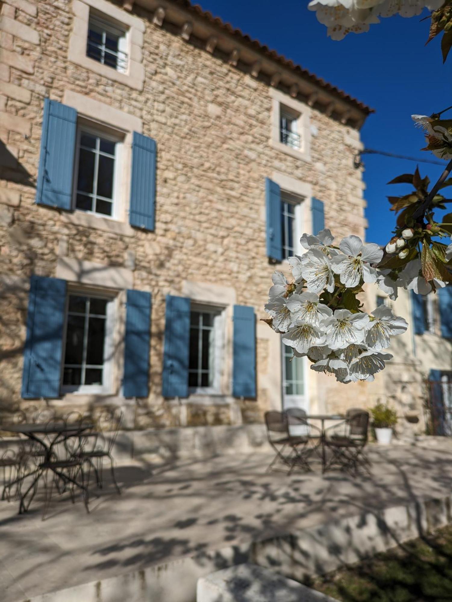 Mas De La Roule, 4 Studios, Piscine Chauffee, Studio Spa, Parc 2 Ha, Pont D'Avignon A Pied Exterior foto